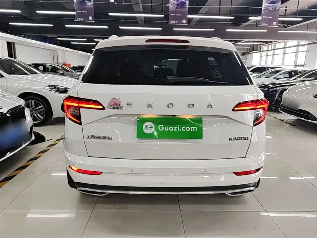 Skoda Karoq — фото 10