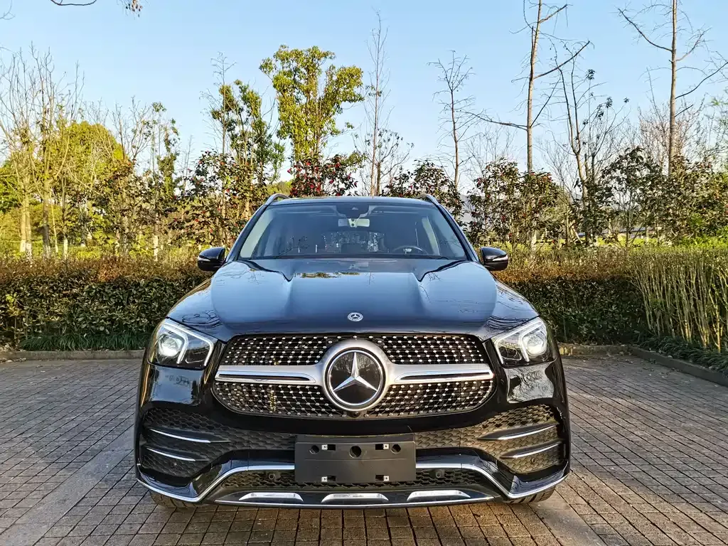 Mercedes-Benz 奔驰GLE(进口) — фото 5