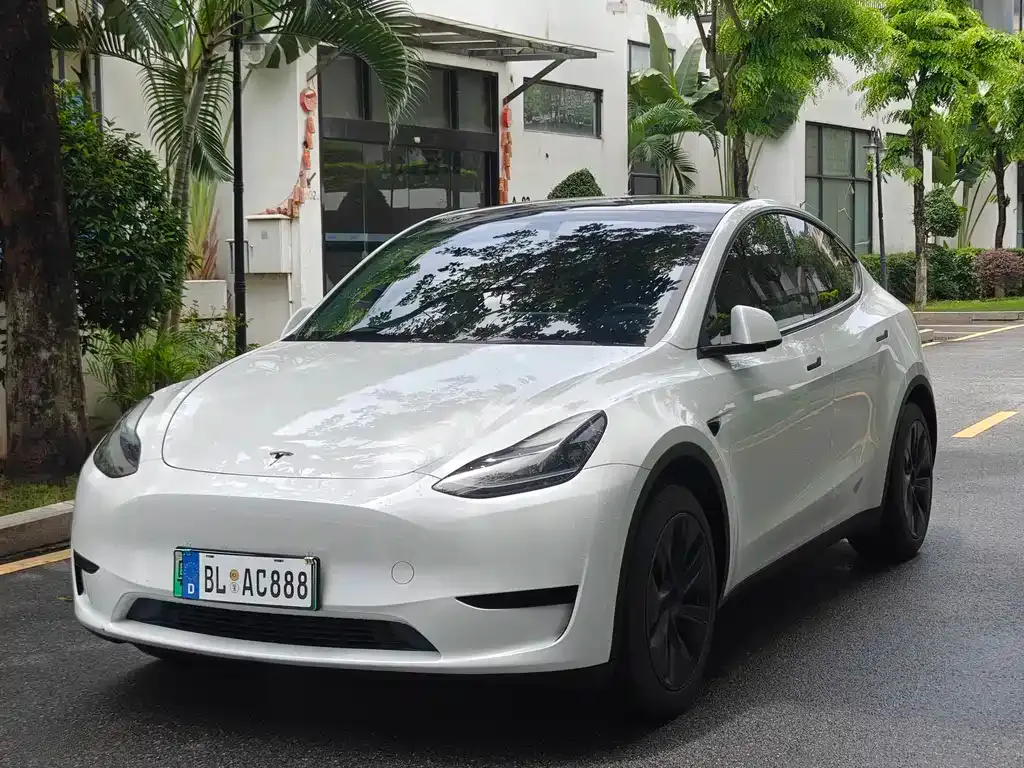 Tesla Model Y — фото 1