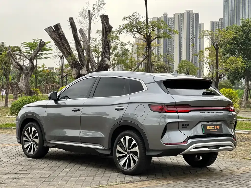 BYD PLUS New Energy — фото 5