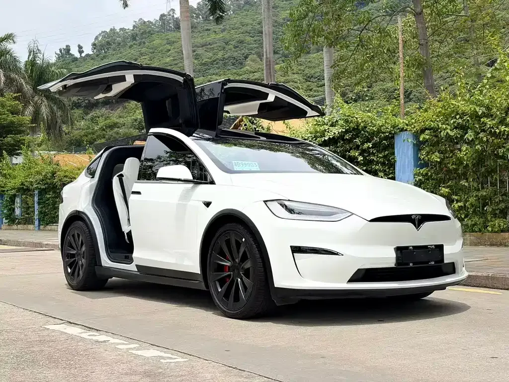 Tesla Model X — фото 1