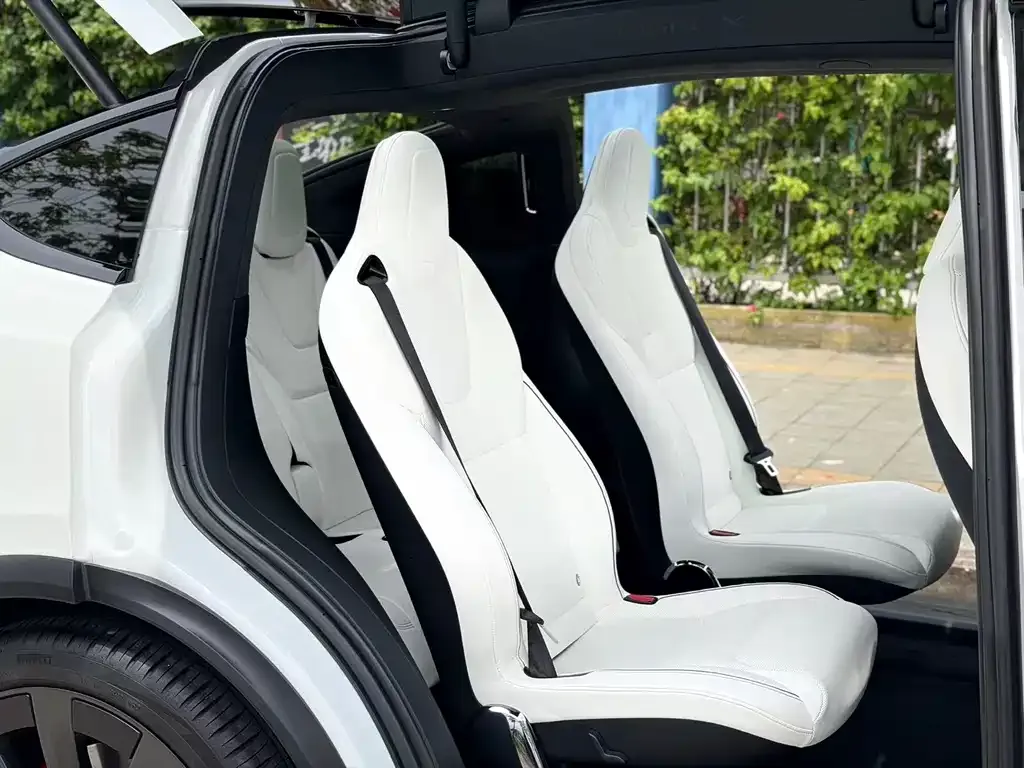 Tesla Model X — фото 7