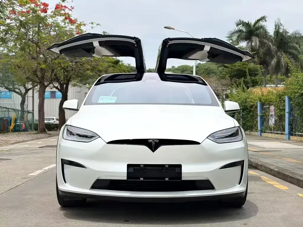 Tesla Model X — фото 5
