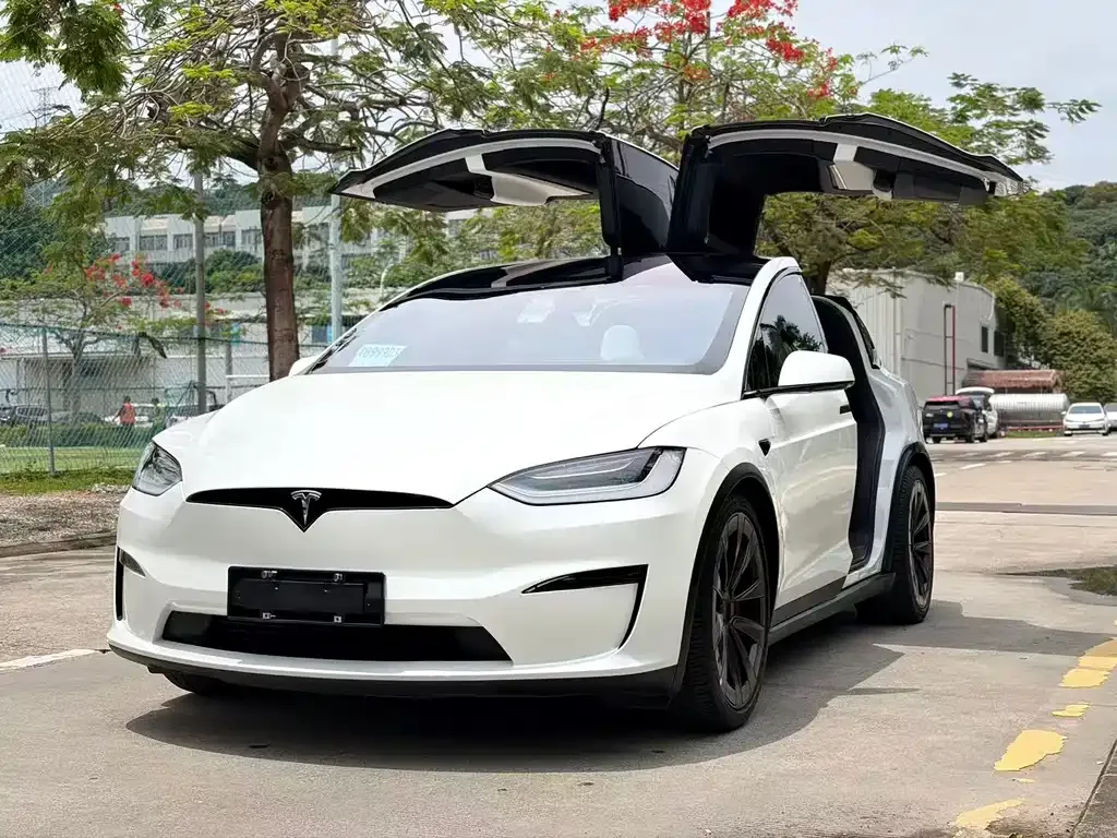 Tesla Model X — фото 8