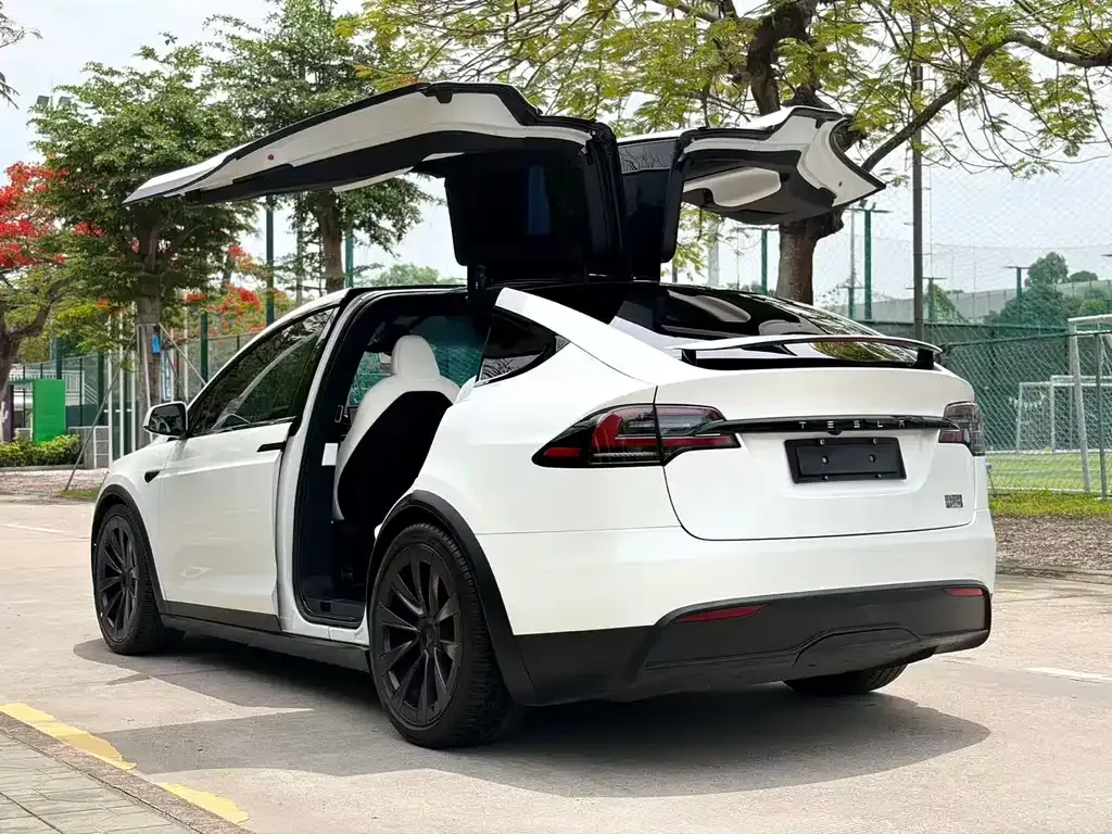 Tesla Model X — фото 4