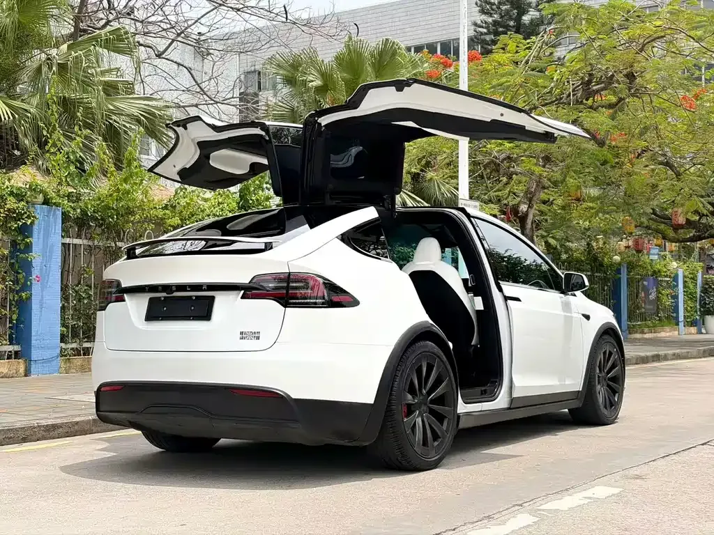 Tesla Model X — фото 9