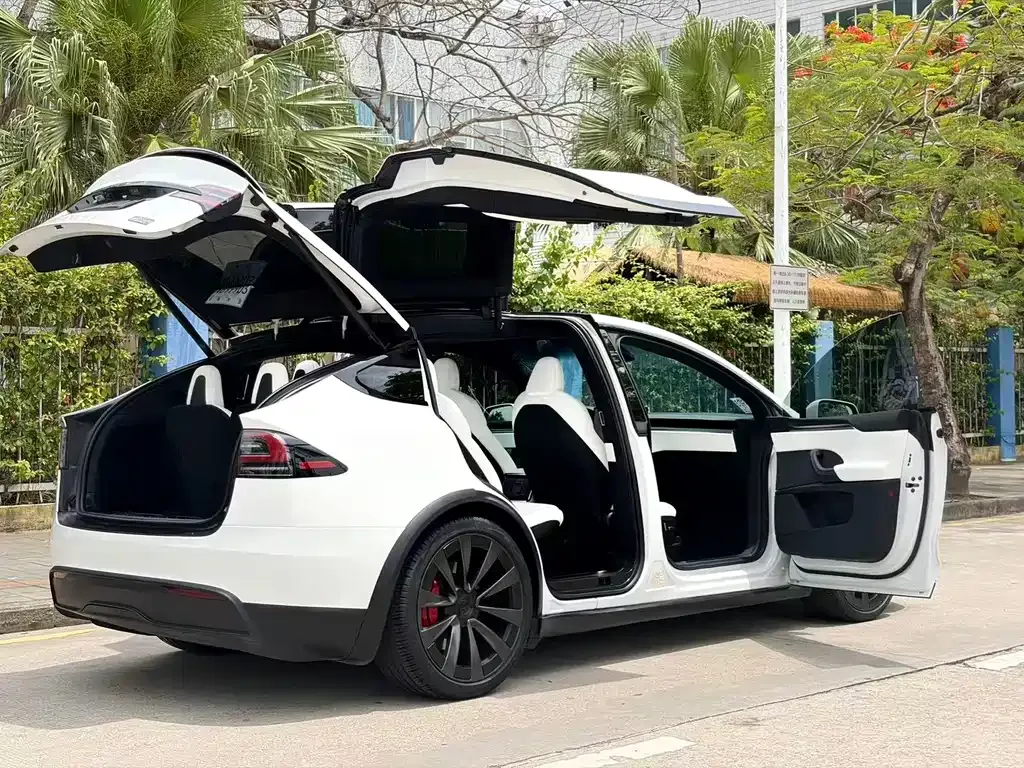 Tesla Model X — фото 10
