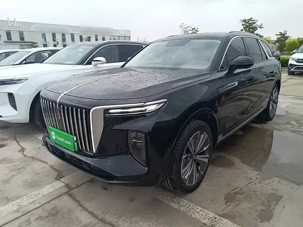 Hongqi E-HS9 — фото 10