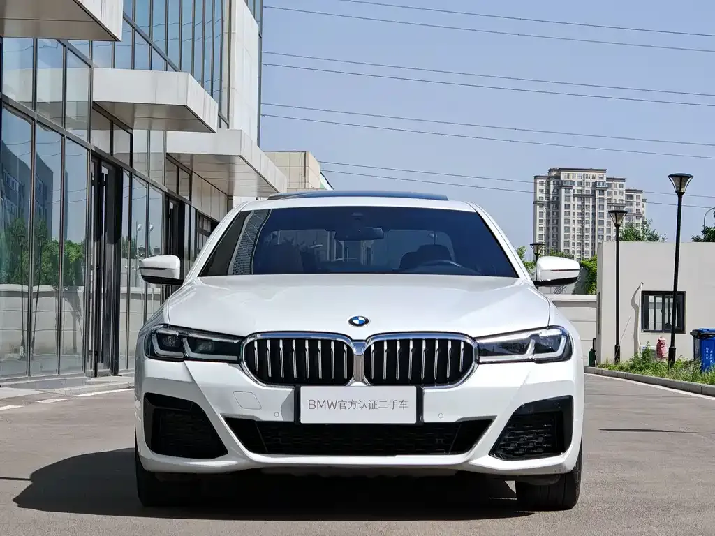 BMW 5 Series New Energy — фото 3