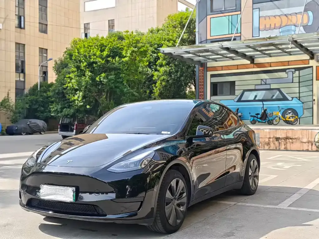 Tesla Model Y — фото 1