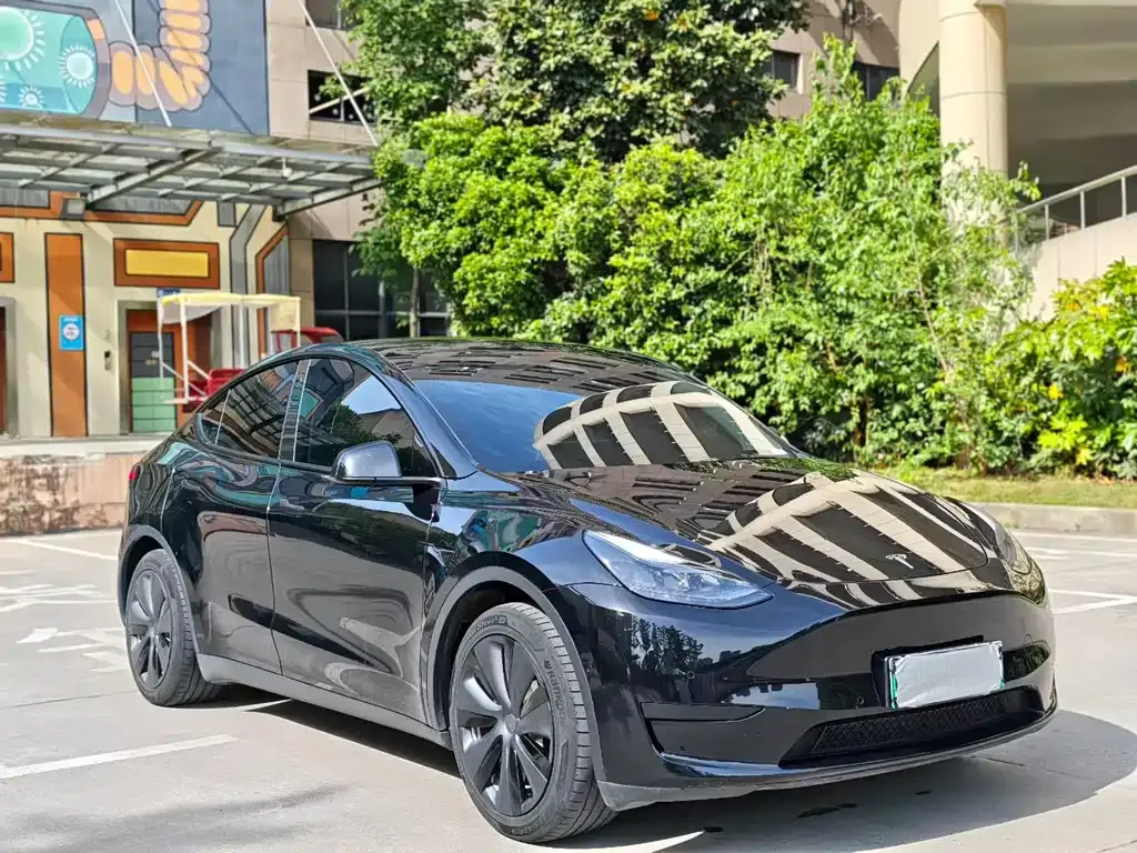 Tesla Model Y — фото 8