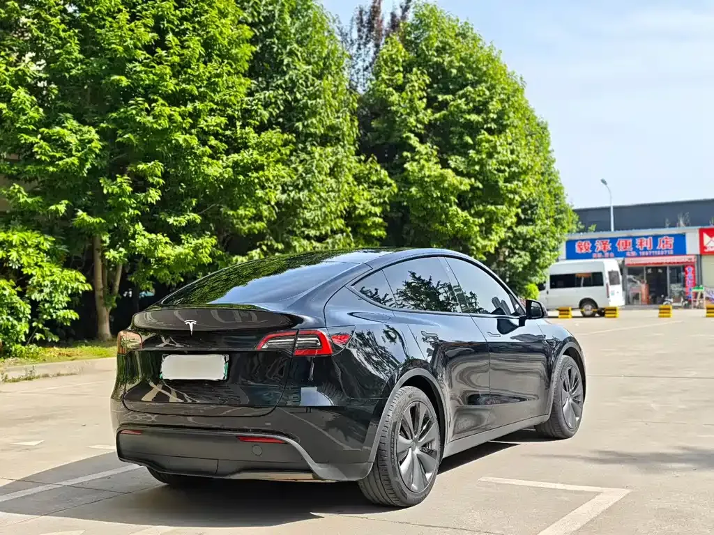 Tesla Model Y — фото 9