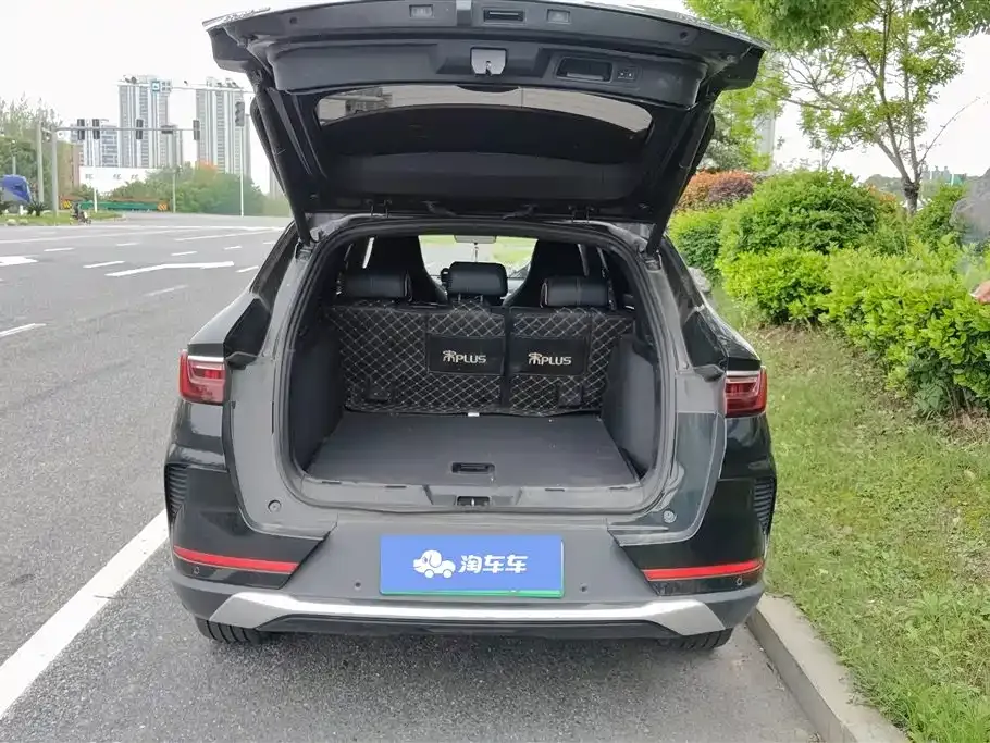 BYD PLUS New Energy — фото 5
