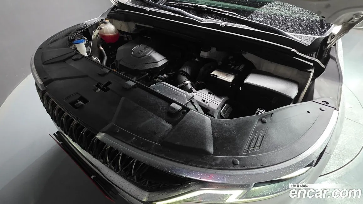 Kia Carnival — фото 10