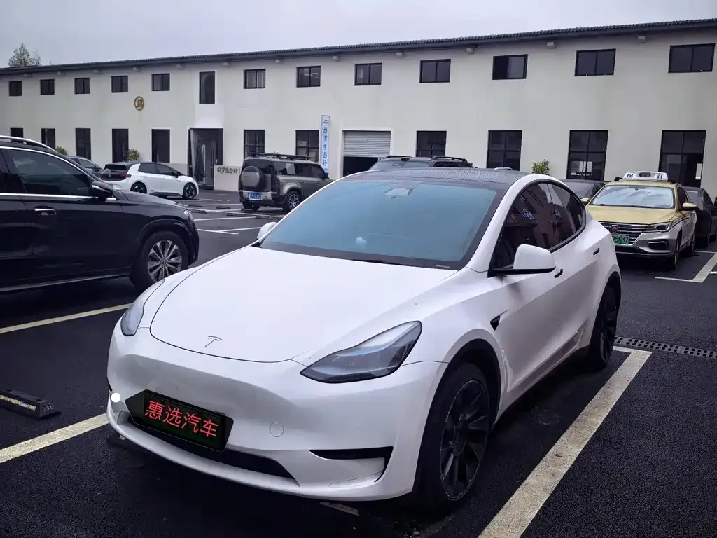 Tesla Model Y — фото 1