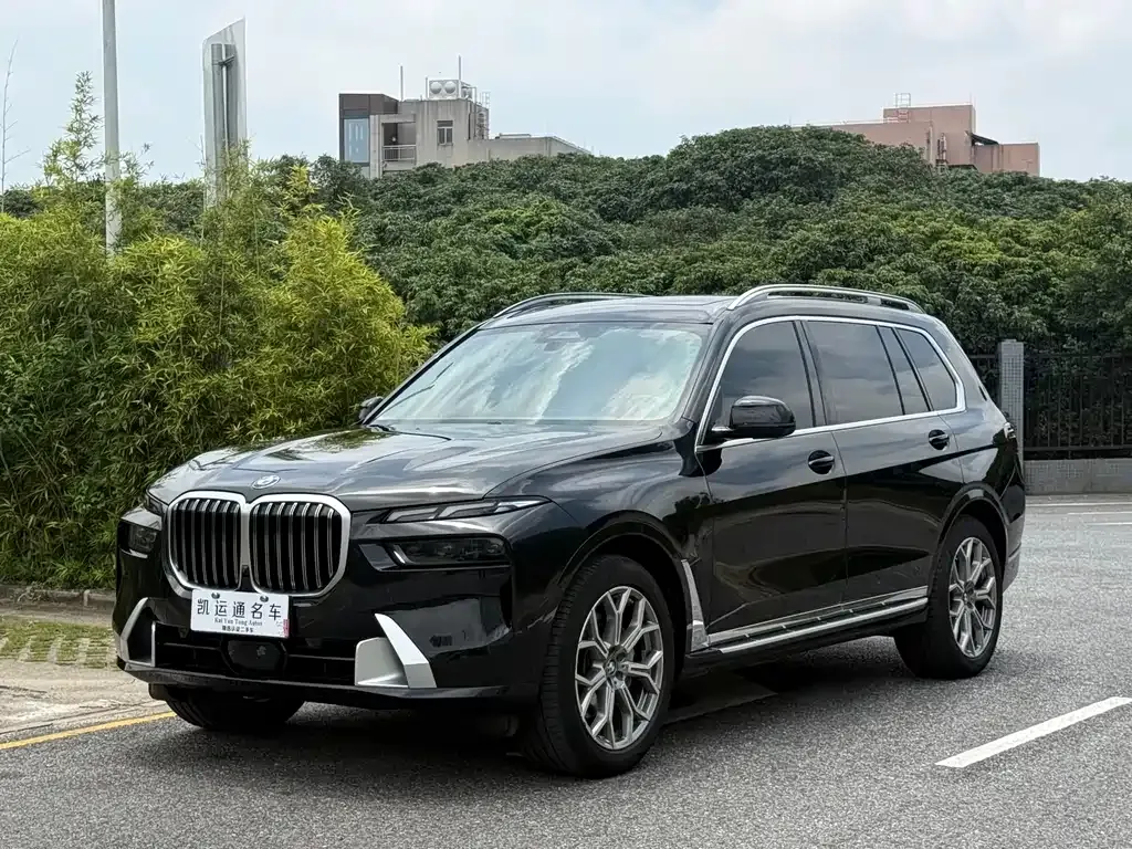 BMW X7 — фото 9