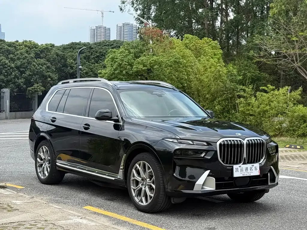 BMW X7 — фото 10