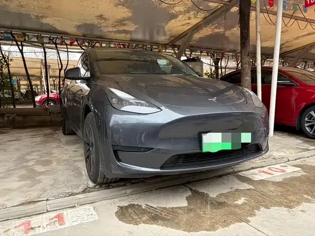 Tesla Model Y — фото 2