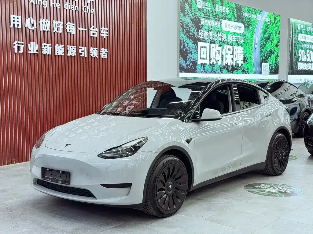 Tesla Model Y — фото 1