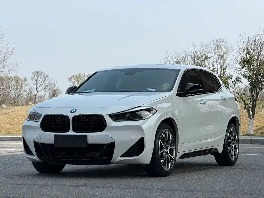 BMW X2 — фото 1