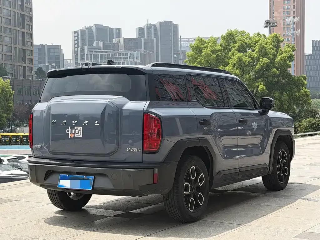 Haval Cool Dog — фото 10