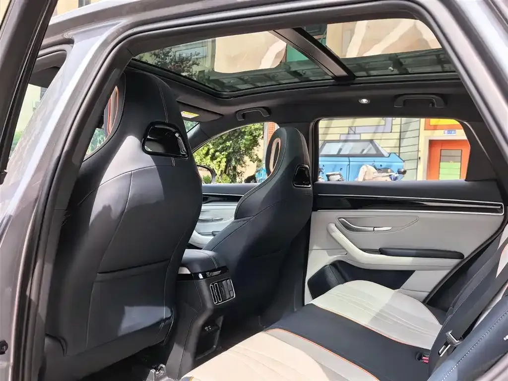 BYD PLUS New Energy — фото 10
