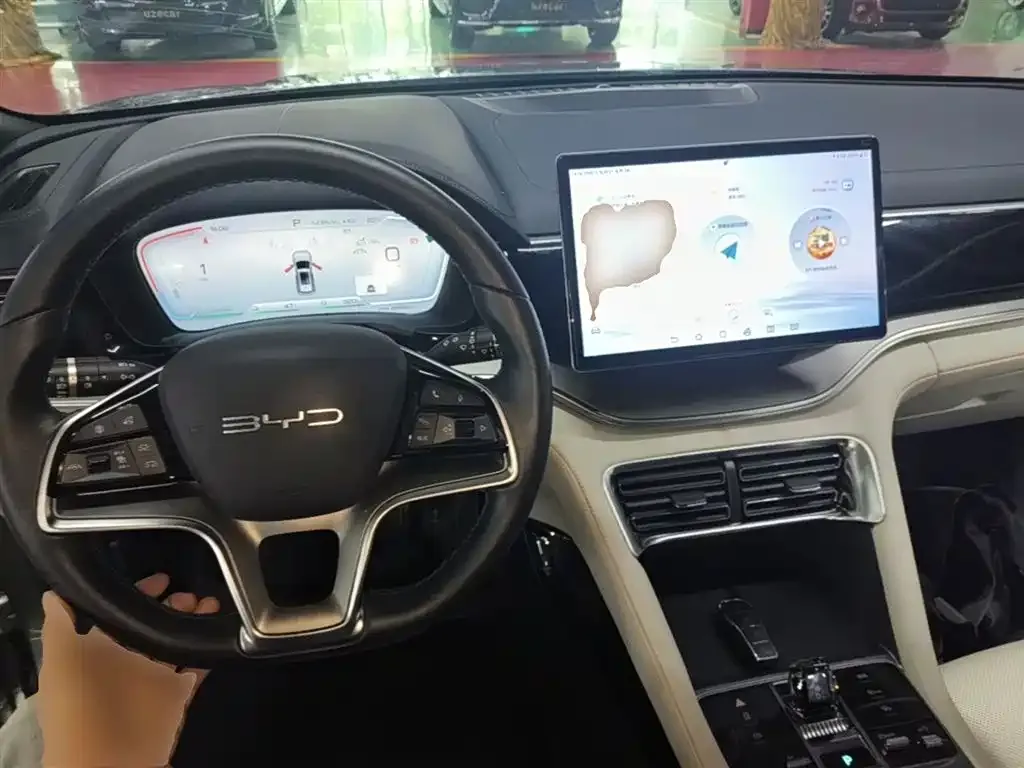 BYD PLUS New Energy — фото 10