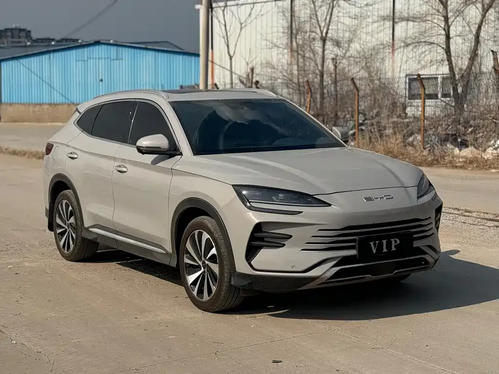 BYD PLUS New Energy — фото 1