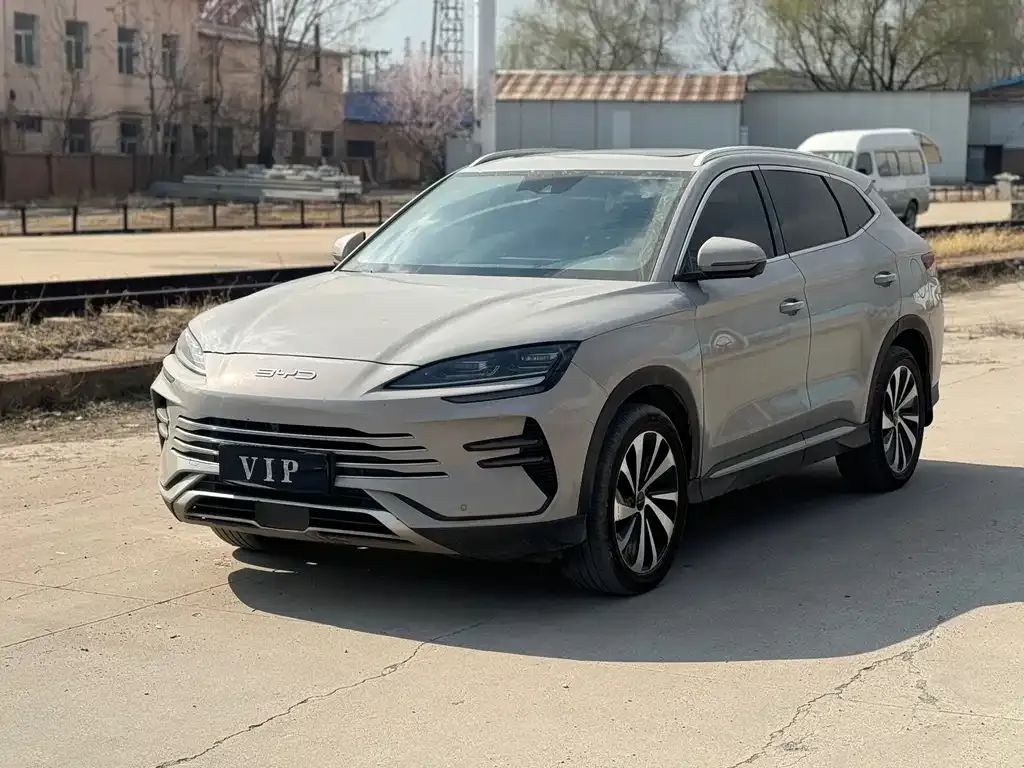 BYD PLUS New Energy — фото 7