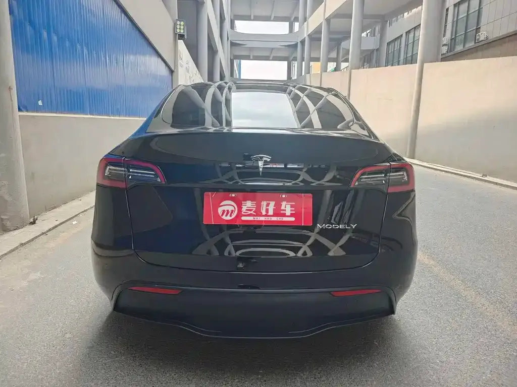Tesla Model Y — фото 10