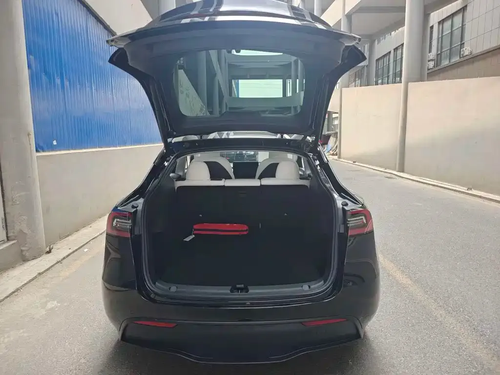 Tesla Model Y — фото 9