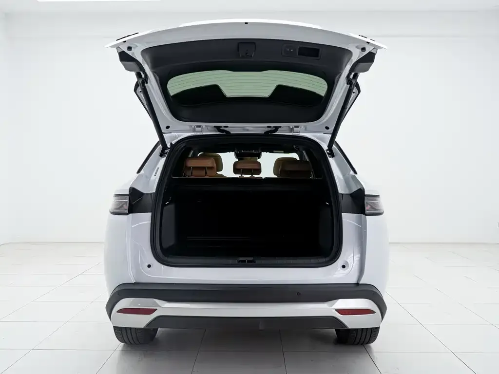 BYD L DM-i — фото 2