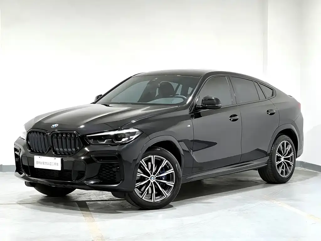 BMW X6 — фото 5