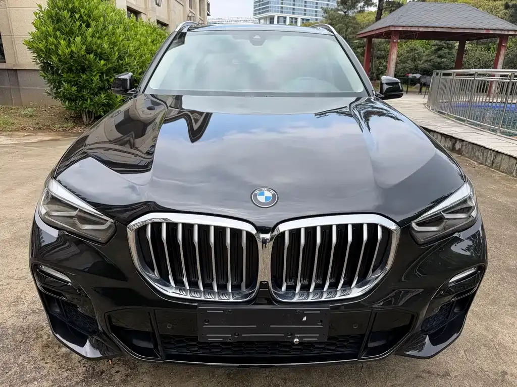 BMW X5 (Import) — фото 7