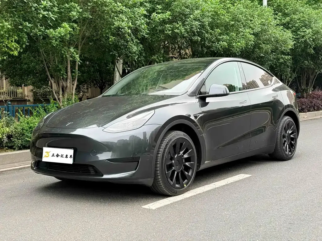 Tesla Model Y — фото 1