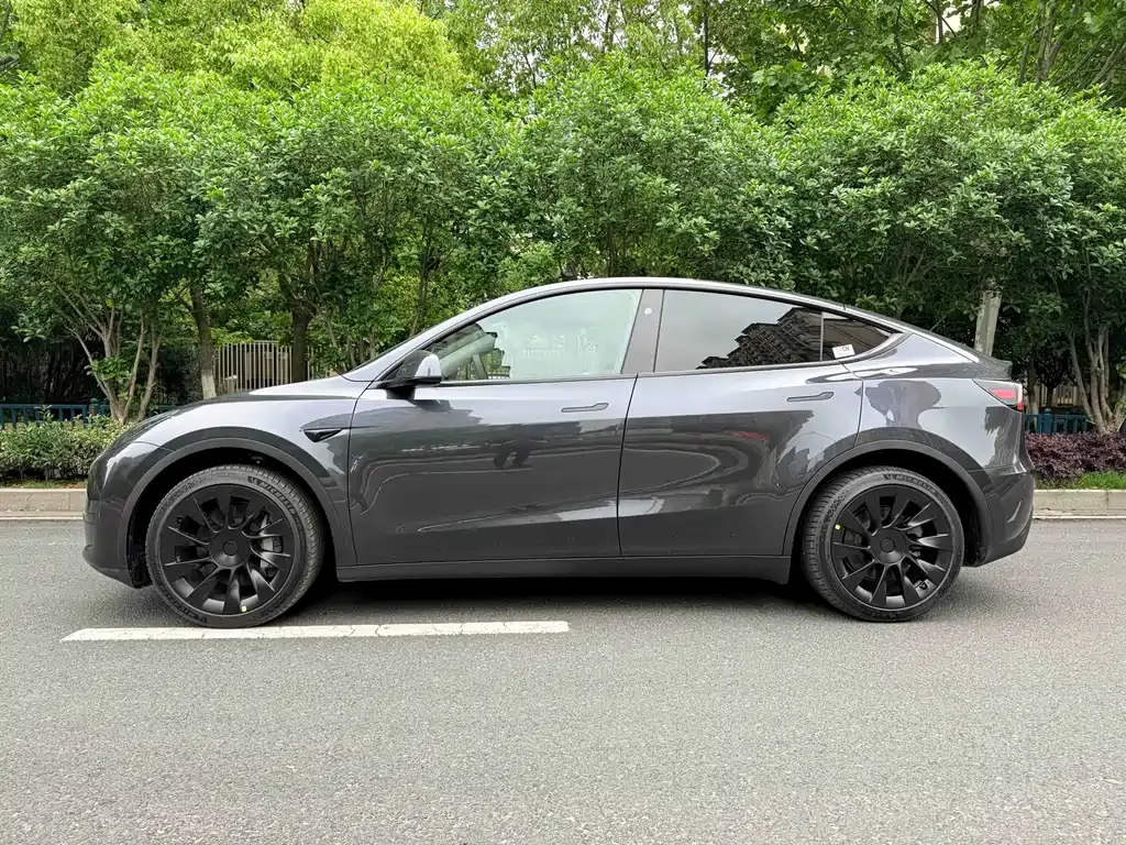 Tesla Model Y — фото 8