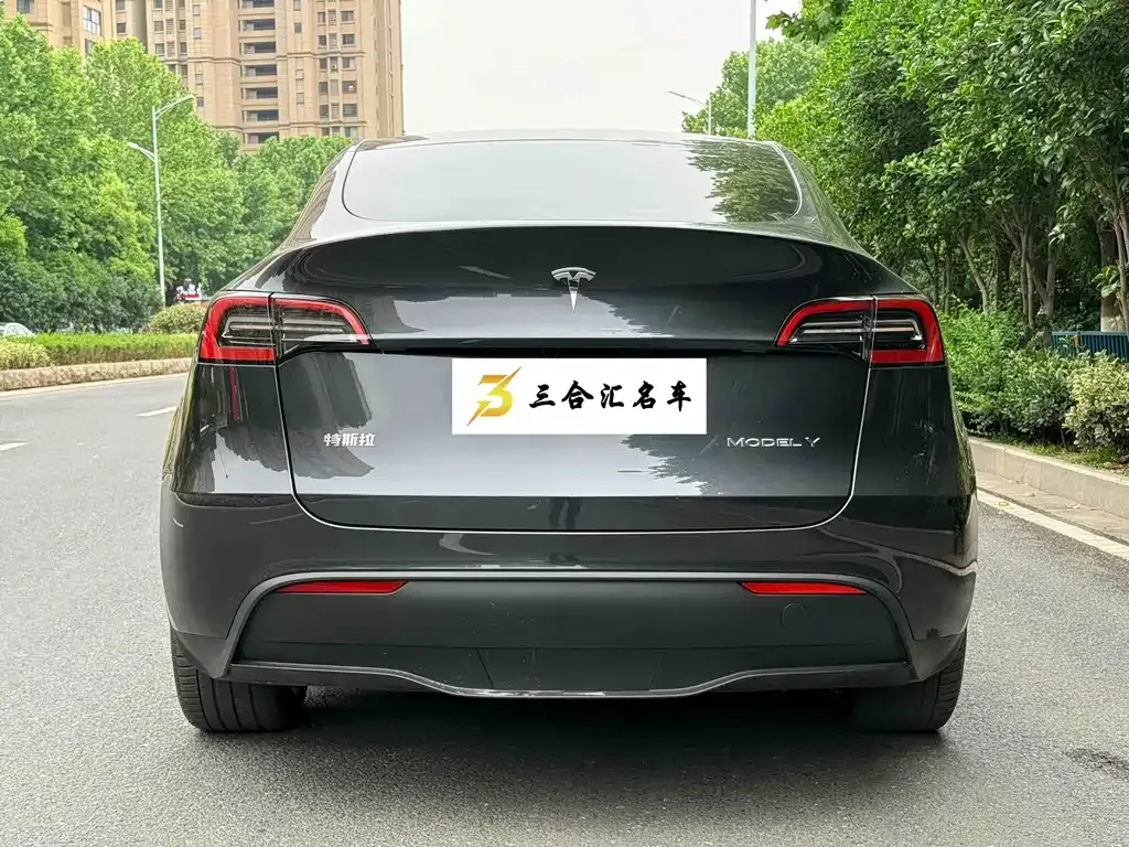 Tesla Model Y — фото 9