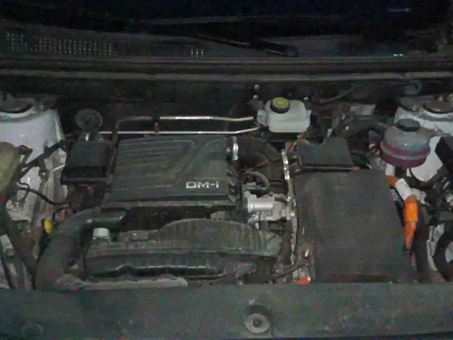 BYD Pro New Energy — фото 10
