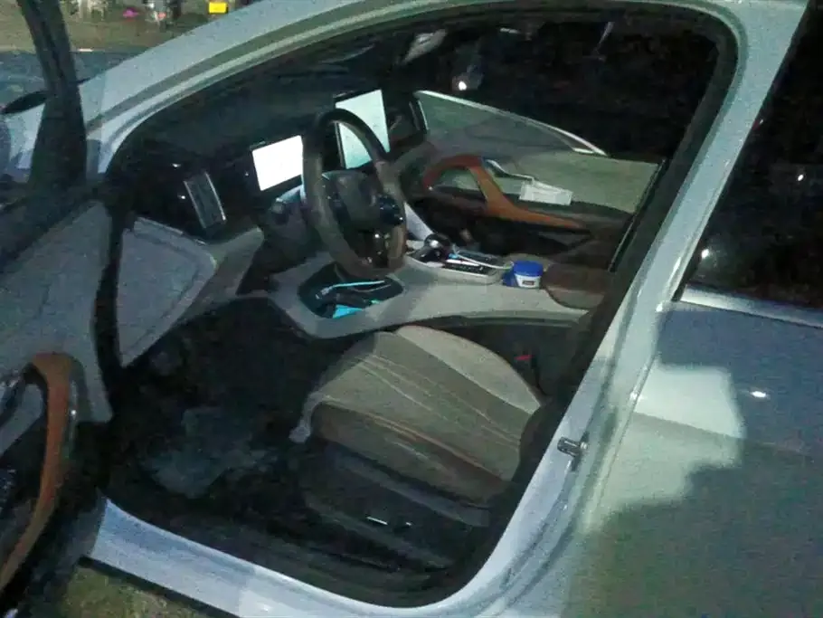 BYD Pro New Energy — фото 4