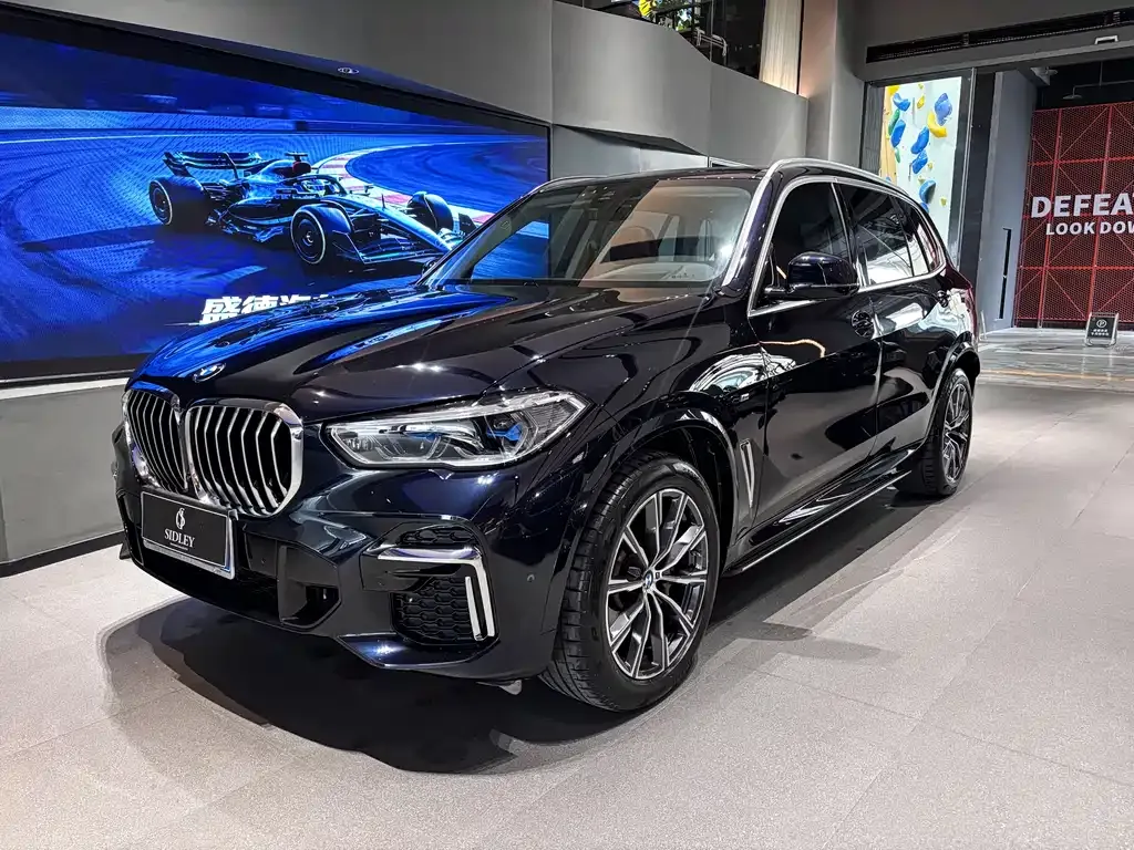 BMW X5 — фото 1