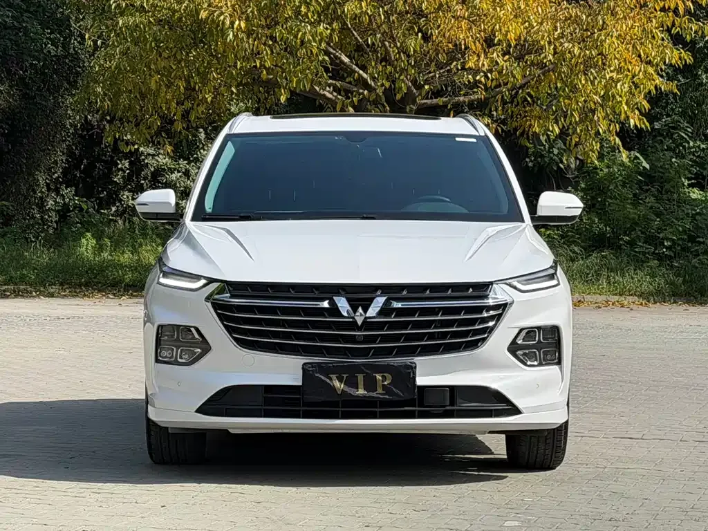 Wuling Victory — фото 9