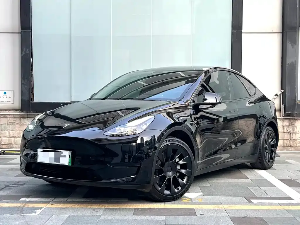 Tesla Model Y — фото 1