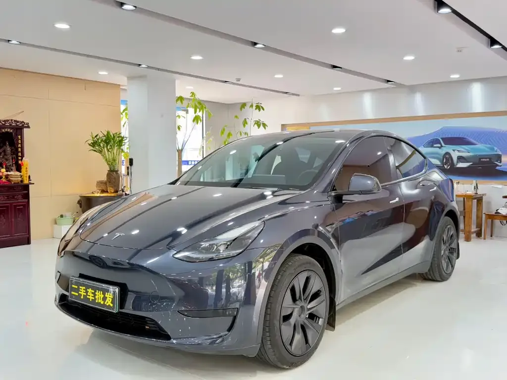 Tesla Model Y — фото 1
