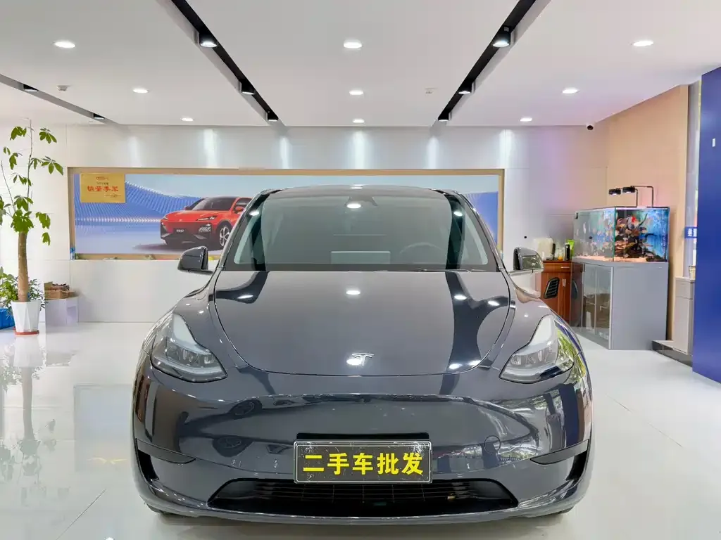 Tesla Model Y — фото 8
