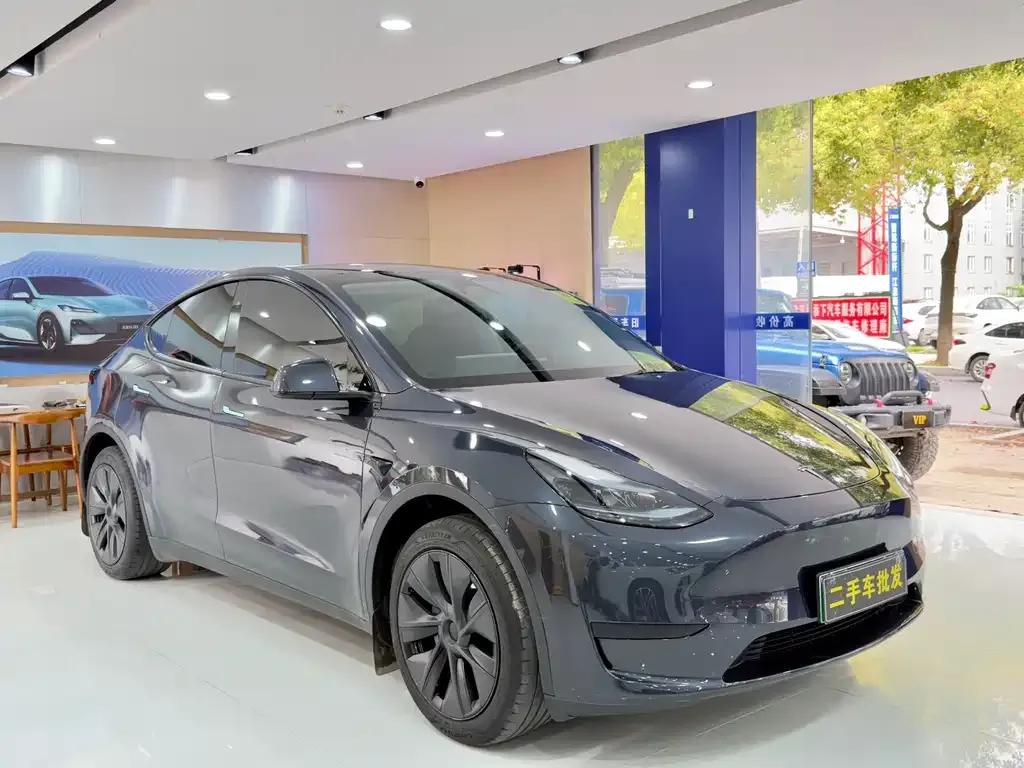Tesla Model Y — фото 5