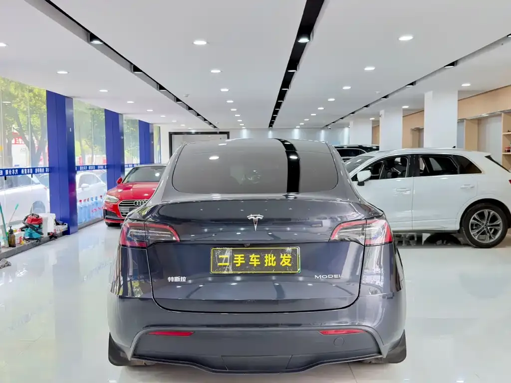 Tesla Model Y — фото 9