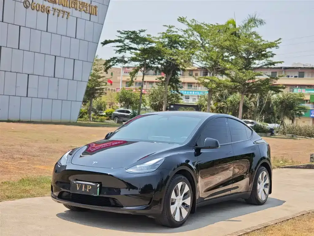 Tesla Model Y — фото 1