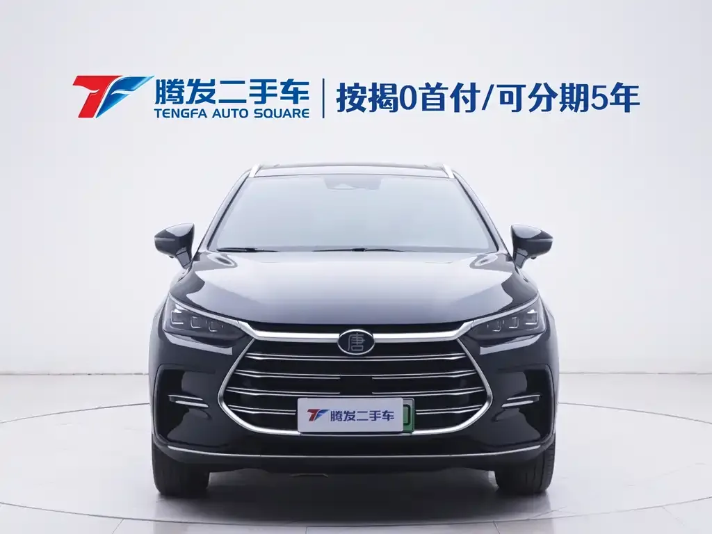 BYD Tang New Energy — фото 10