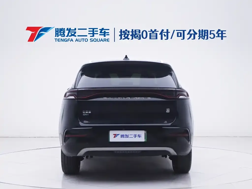 BYD Tang New Energy — фото 8