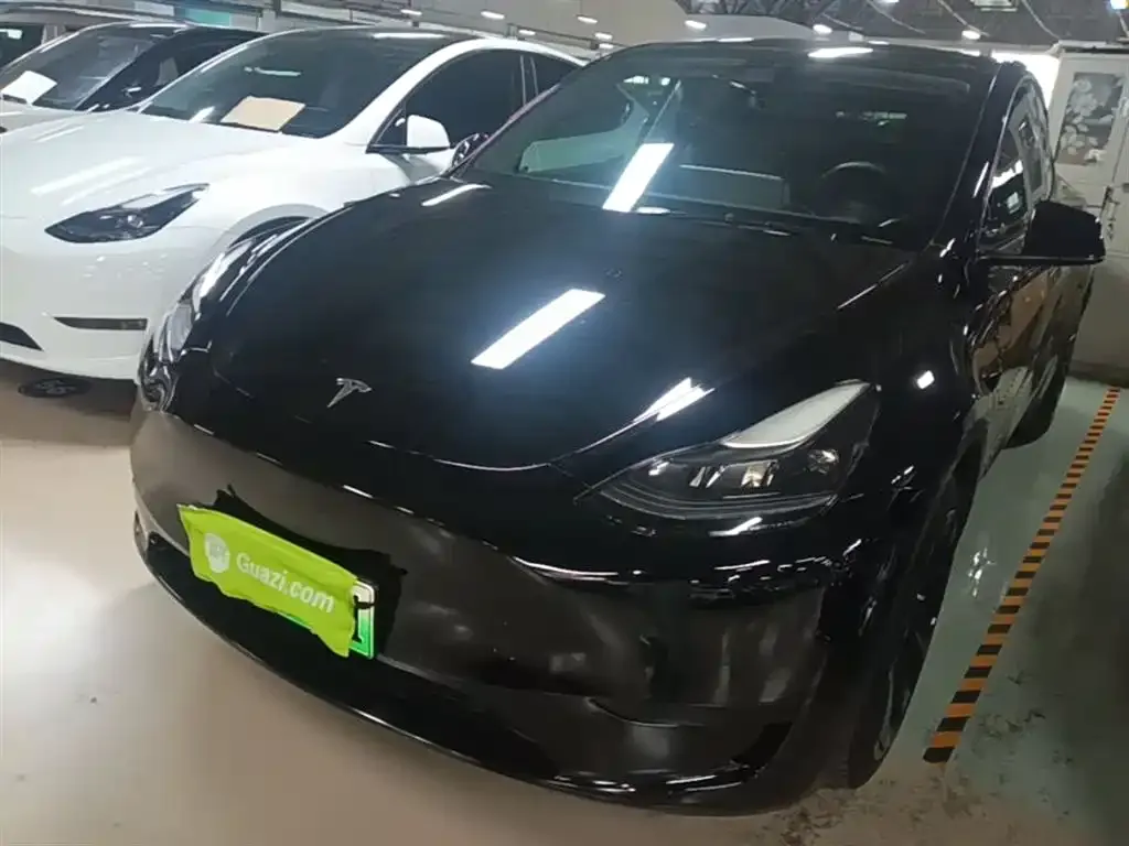 Tesla Model Y — фото 9